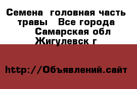 Семена (головная часть))) травы - Все города  »    . Самарская обл.,Жигулевск г.